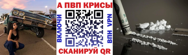 A-PVP СК Новозыбков