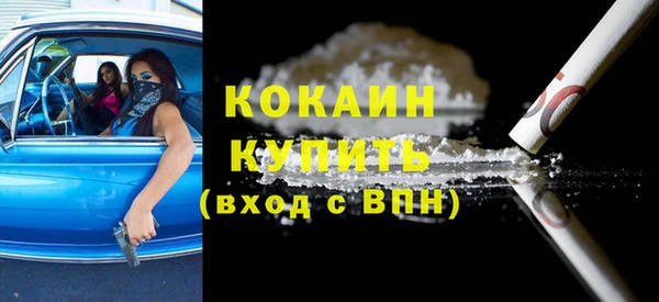 шишки Наволоки