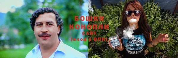 сатива Навашино