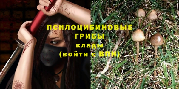 сатива Навашино