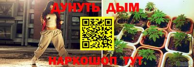 крисы Кандалакша