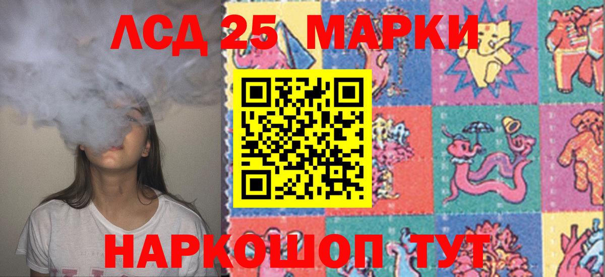 Новозыбков  Лсд 25 экстази кислота  Вход с VPN  Лсд 25 экстази кислота 