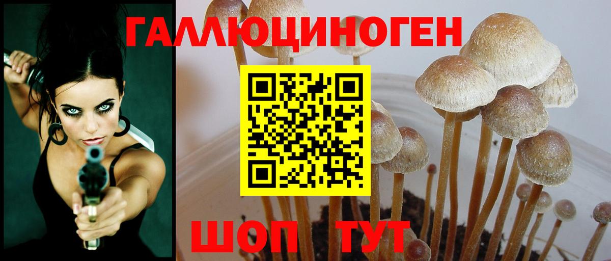 Галлюциногенные грибы Magic Shrooms  купить наркоту  Новозыбков  Вход с VPN 