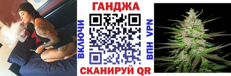 цены наркотик  Новозыбков  Бошки марихуана семена 