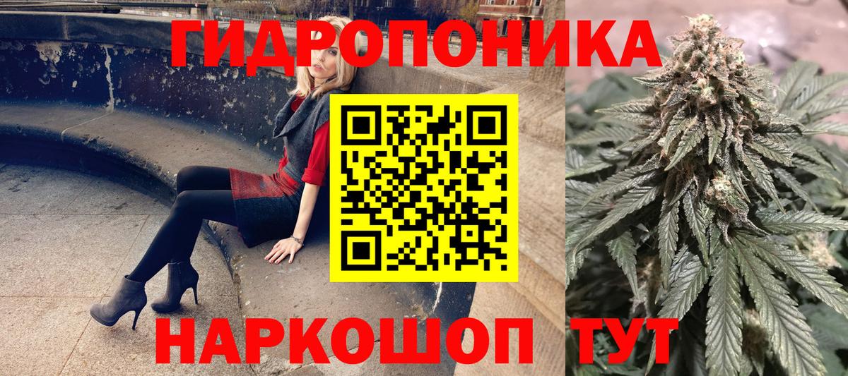 Новозыбков  Бошки марихуана планчик  Вход с VPN  МАРИХУАНА конопля  МАРИХУАНА White Widow 